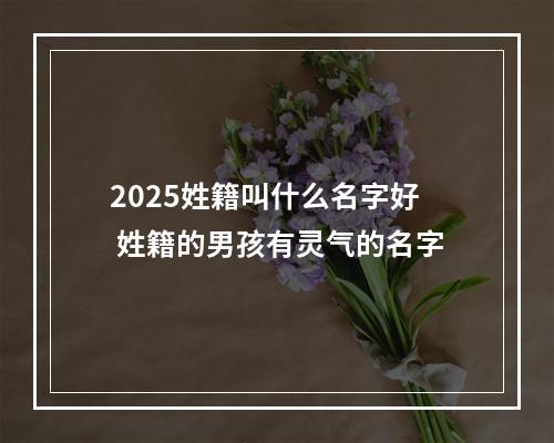 2025姓籍叫什么名字好 姓籍的男孩有灵气的名字