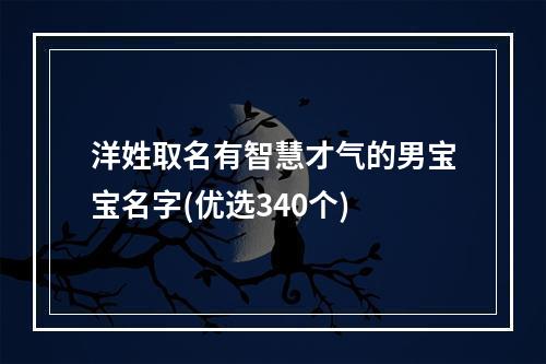 洋姓取名有智慧才气的男宝宝名字(优选340个)