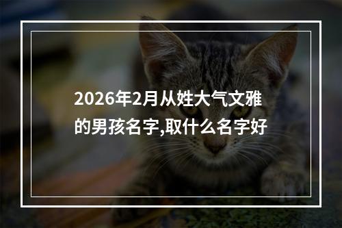 2026年2月从姓大气文雅的男孩名字,取什么名字好