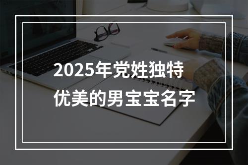 2025年党姓独特优美的男宝宝名字