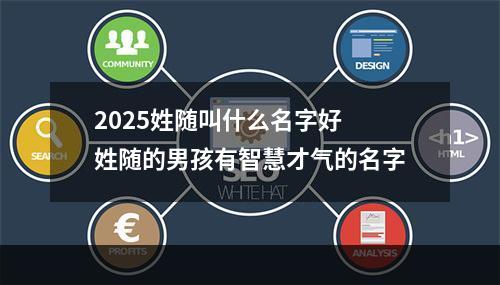 2025姓随叫什么名字好 姓随的男孩有智慧才气的名字