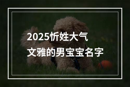 2025忻姓大气文雅的男宝宝名字