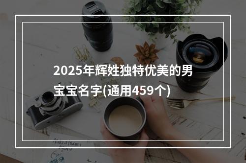 2025年辉姓独特优美的男宝宝名字(通用459个)