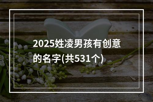 2025姓凌男孩有创意的名字(共531个)