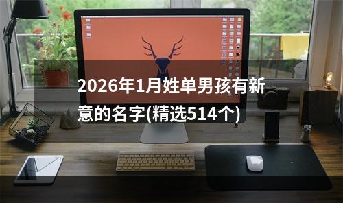 2026年1月姓单男孩有新意的名字(精选514个)