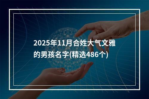 2025年11月合姓大气文雅的男孩名字(精选486个)