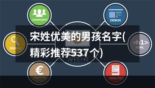 宋姓优美的男孩名字(精彩推荐537个)