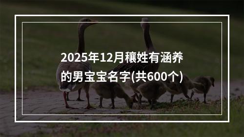 2025年12月穰姓有涵养的男宝宝名字(共600个)