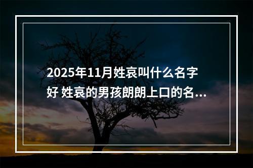 2025年11月姓哀叫什么名字好 姓哀的男孩朗朗上口的名字