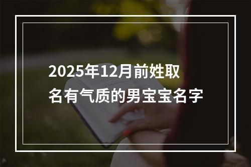 2025年12月前姓取名有气质的男宝宝名字