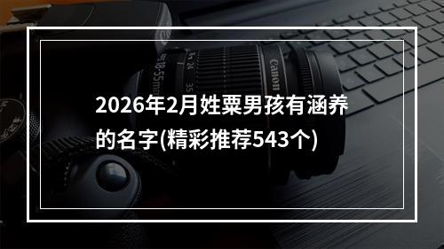 2026年2月姓粟男孩有涵养的名字(精彩推荐543个)