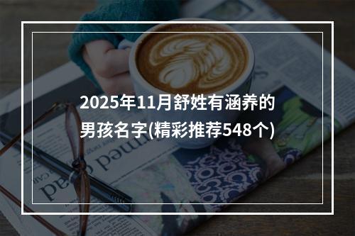 2025年11月舒姓有涵养的男孩名字(精彩推荐548个)