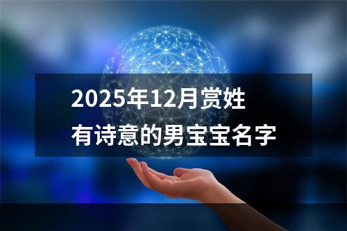 2025年12月赏姓有诗意的男宝宝名字
