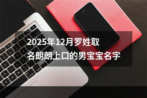 2025年12月罗姓取名朗朗上口的男宝宝名字
