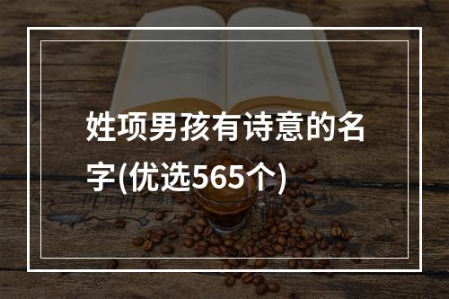 姓项男孩有诗意的名字(优选565个)