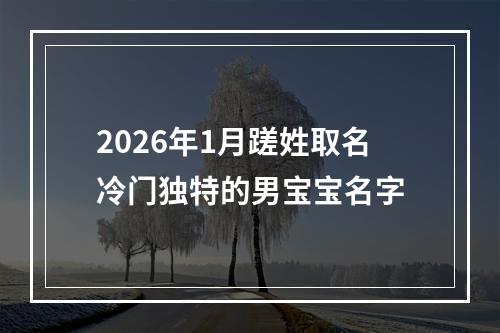 2026年1月蹉姓取名冷门独特的男宝宝名字