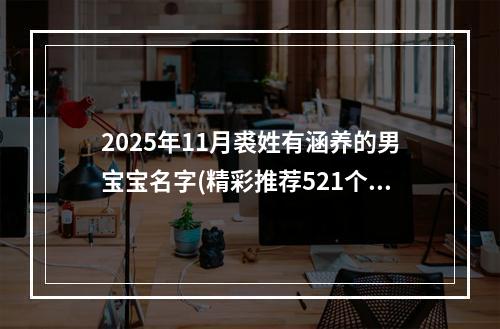 2025年11月裘姓有涵养的男宝宝名字(精彩推荐521个)