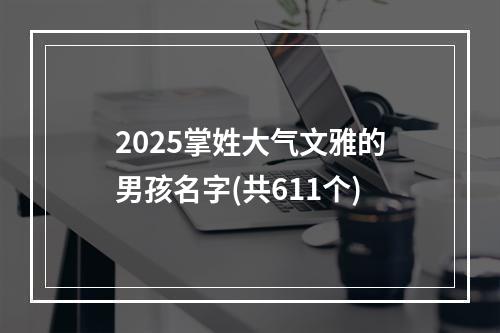 2025掌姓大气文雅的男孩名字(共611个)