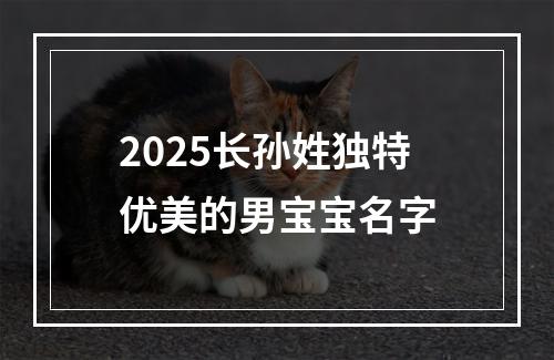 2025长孙姓独特优美的男宝宝名字