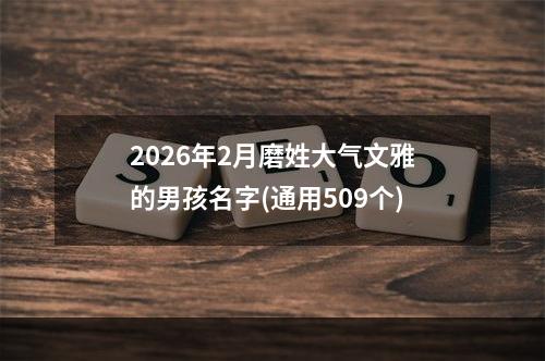 2026年2月磨姓大气文雅的男孩名字(通用509个)