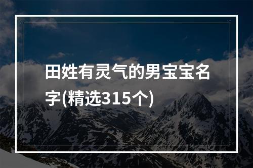 田姓有灵气的男宝宝名字(精选315个)