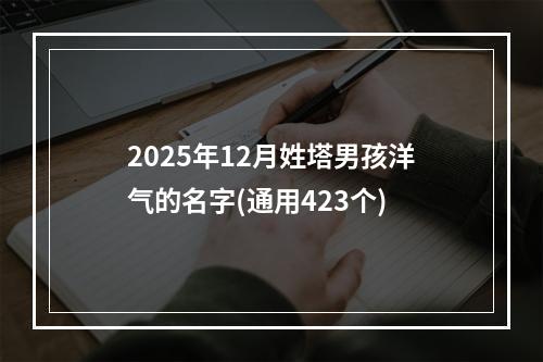 2025年12月姓塔男孩洋气的名字(通用423个)