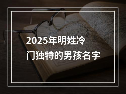 2025年明姓冷门独特的男孩名字