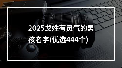2025戈姓有灵气的男孩名字(优选444个)