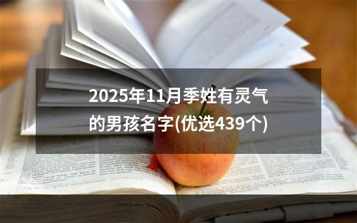 2025年11月季姓有灵气的男孩名字(优选439个)