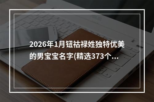 2026年1月钮祜禄姓独特优美的男宝宝名字(精选373个)