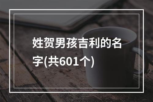 姓贺男孩吉利的名字(共601个)