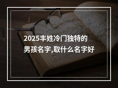 2025丰姓冷门独特的男孩名字,取什么名字好