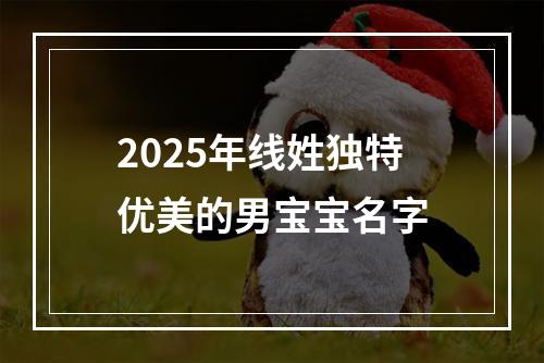 2025年线姓独特优美的男宝宝名字