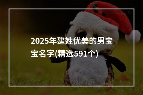 2025年建姓优美的男宝宝名字(精选591个)
