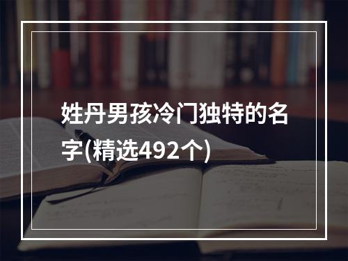 姓丹男孩冷门独特的名字(精选492个)