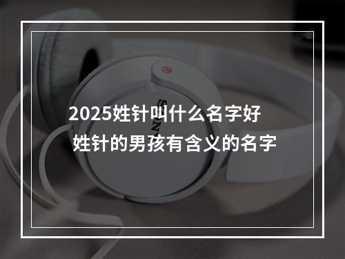 2025姓针叫什么名字好 姓针的男孩有含义的名字