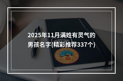 2025年11月满姓有灵气的男孩名字(精彩推荐337个)