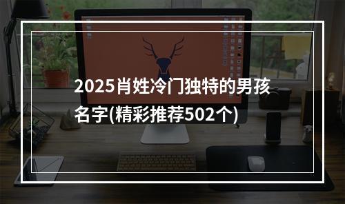 2025肖姓冷门独特的男孩名字(精彩推荐502个)