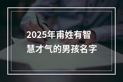 2025年甫姓有智慧才气的男孩名字