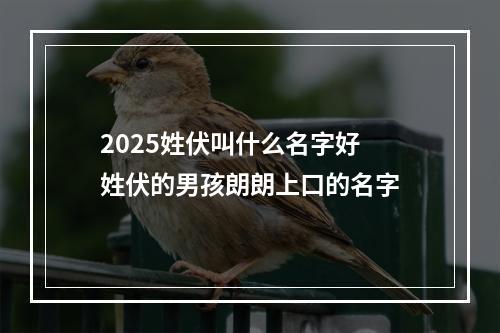 2025姓伏叫什么名字好 姓伏的男孩朗朗上口的名字