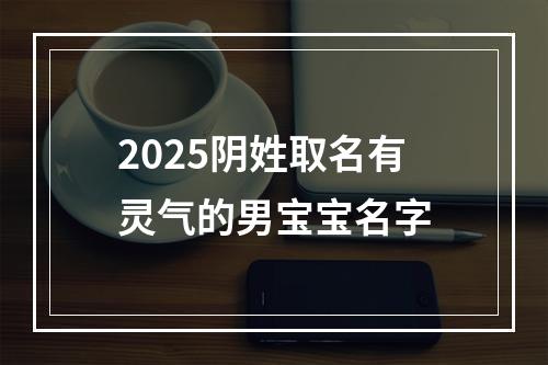 2025阴姓取名有灵气的男宝宝名字