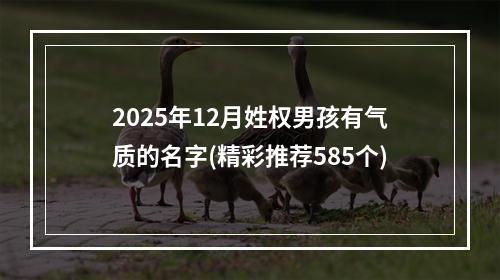 2025年12月姓权男孩有气质的名字(精彩推荐585个)