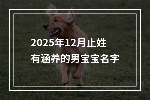 2025年12月止姓有涵养的男宝宝名字