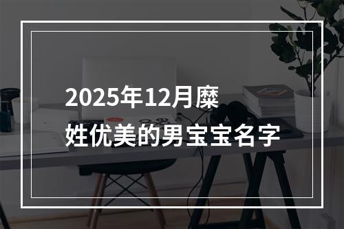2025年12月糜姓优美的男宝宝名字