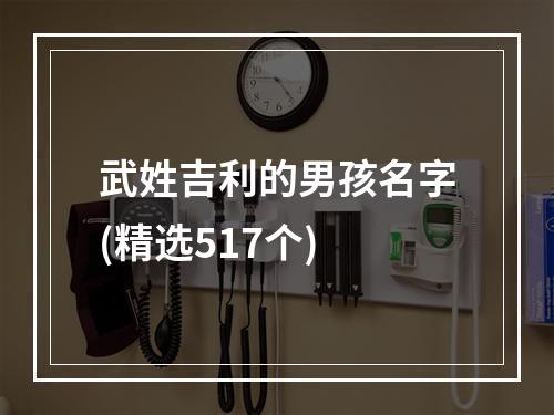 武姓吉利的男孩名字(精选517个)