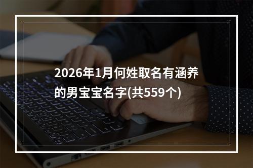 2026年1月何姓取名有涵养的男宝宝名字(共559个)