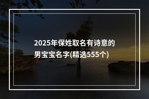 2025年保姓取名有诗意的男宝宝名字(精选555个)