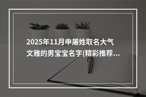 2025年11月申屠姓取名大气文雅的男宝宝名字(精彩推荐368个)