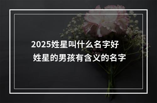 2025姓星叫什么名字好 姓星的男孩有含义的名字