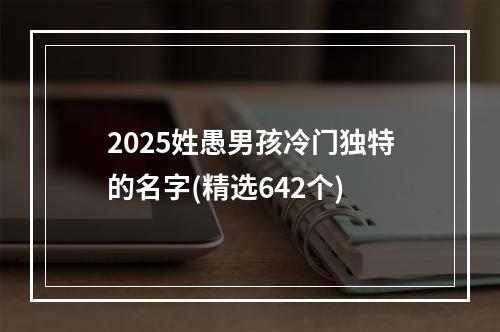 2025姓愚男孩冷门独特的名字(精选642个)